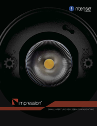 intense_il_intense_impression_brochure-2013