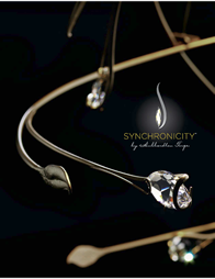 2017-synchronicity-catalog-1